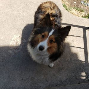 Meet your Posher, Steven